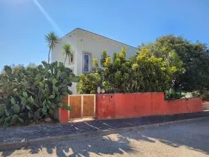 Ingrina - House & Studio - Raposeira