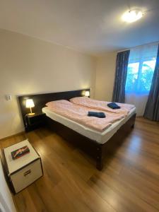 Summer Apartments