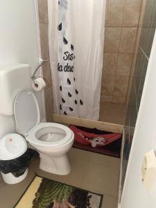 Pensiunea Scoika Steaguri Neptun