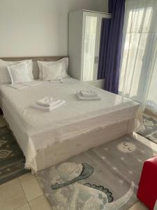 Pensiunea Scoika Steaguri Neptun