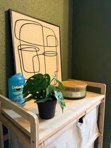 Zen & Confort - Studio Amnéville