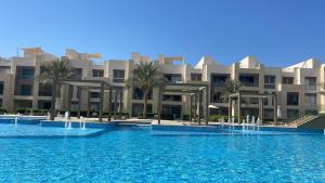 Mangroovy - Buena Vista Pool and Marina views