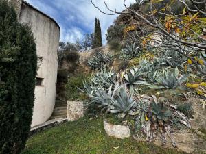 Maisons de vacances Les Haut de Beaumes - Vue panoramique - Climatise : photos des chambres