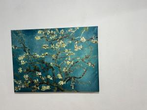 Casa completa a 5min do Axe Moi