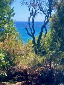 Villa Chérie 120m2 - Bord de Mer - Olmuccio 9 pers