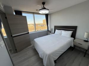 Modern High-Rise Apartment - 4