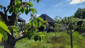 Haus am Schaalsee - Camin