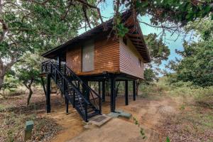 Cinnamon Wild Yala