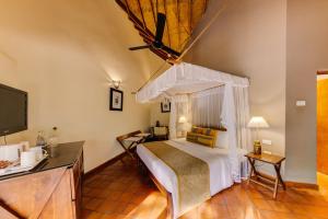 Cinnamon Wild Yala