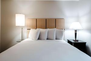 Studio Queen Suite with Bathtub - Mobility Accessible  room in Sonesta Simply Suites Dallas Richardson