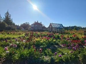 Woodside Farm Country Inn - Сук