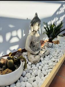 Calma Marina San José