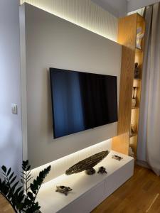 Fine apartment city center