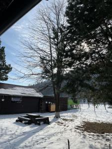 Casa dintre Pini Agapia