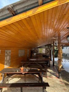 Casa dintre Pini Agapia