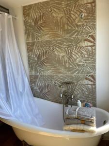 Camera Queen Superior