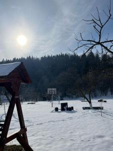 Casa dintre Pini Agapia