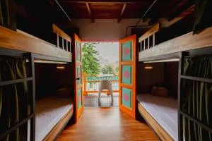 Isla de pascua - Jardín - Hostel - Los Andes