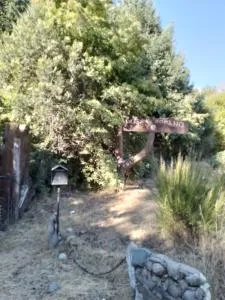 Puenteromano - Golondrinas