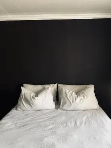 The Ripanga Nest - 巴伯顿