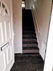 Newly Renovated 5BR Modern Home