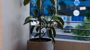 Exclusivo Apto cerca a Corferias