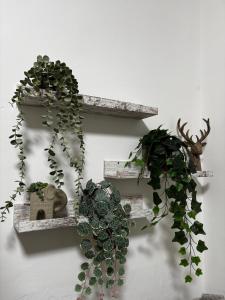 Moseley 5-Bedroom Home, Sleeps 10, Extended Stays