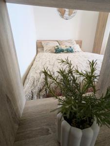 Appartements Le studio de la Gare, 5min a pied : photos des chambres