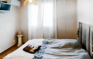 Amazing Home In Borgo With Kitchen