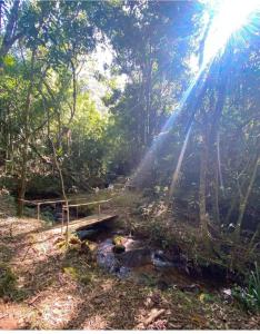 Nirvana Glamping, Nature Glass Chalet