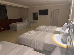Sky light hotel