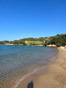 Corte dei Mori 239 img7