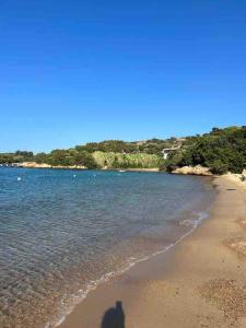 Goccia di Mare 203 img24