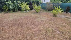 Jemmotts Better Living