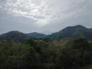 Apartamento Ibagué centro económico - Vallecito