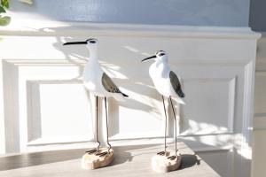 Upgraded Downtown Apartment Sleeps 5