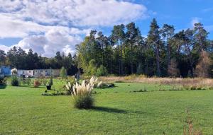 Nice Apartment In Graal-Müritz With Wifi