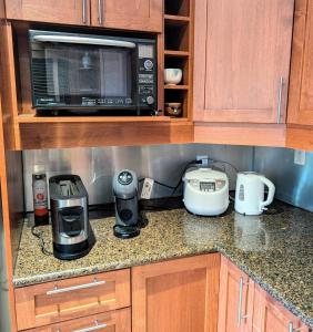 Luxury Ski Chalet Solitude 350m to Hanazono Gondola Parking