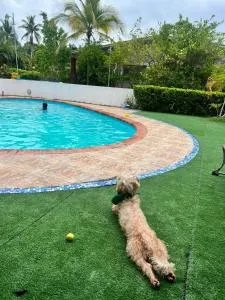 Villa Doña Maye - Pajonal