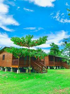 Eco Cabañas El Cacao
