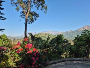 Anivilla Holiday Home Kunjithanny