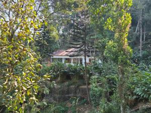 Anivilla Holiday Home Kunjithanny