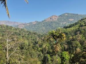 Anivilla Holiday Home Kunjithanny
