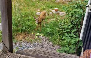 Awesome Apartment In Mullsjö With Wifi