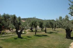 Gera's Olive Grove - Elaionas tis Geras Lesvos Greece