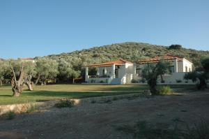 Gera's Olive Grove - Elaionas tis Geras Lesvos Greece