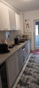 Garsoniera Monique Senzual