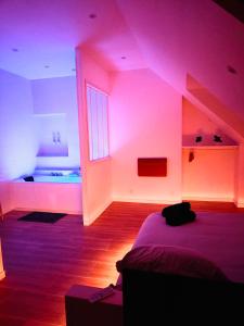 Appartements L-evasion Relax Chatel Guyon avec jacuzzi prive : photos des chambres