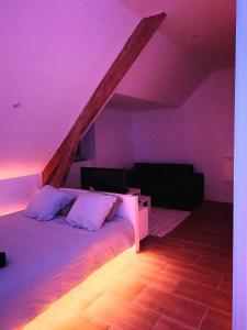 Appartements L-evasion Relax Chatel Guyon avec jacuzzi prive : photos des chambres