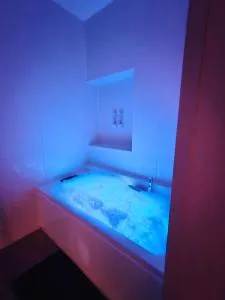 L'évasion Relax Châtel Guyon avec jacuzzi privé - 沃勒维克